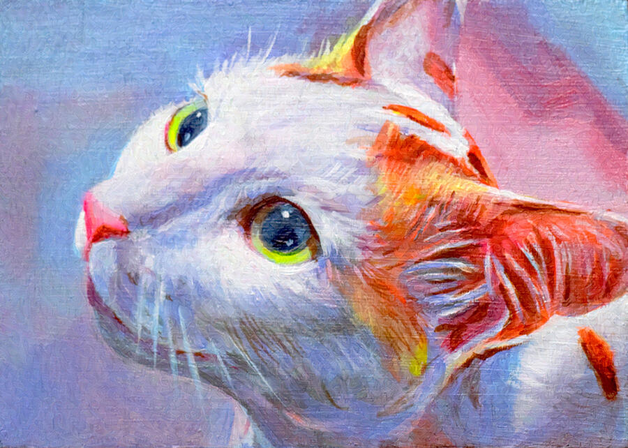 The Curious One Cat, Meow, Kitten, Pet Portrait, Animals, Domestic Animal Art, Acrylic Painting, Acrylics on Wood, Pastel Painting, Pastel Colors